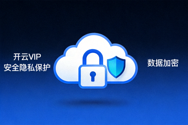 开云VIP安全隐私保护与数据加密功能图标